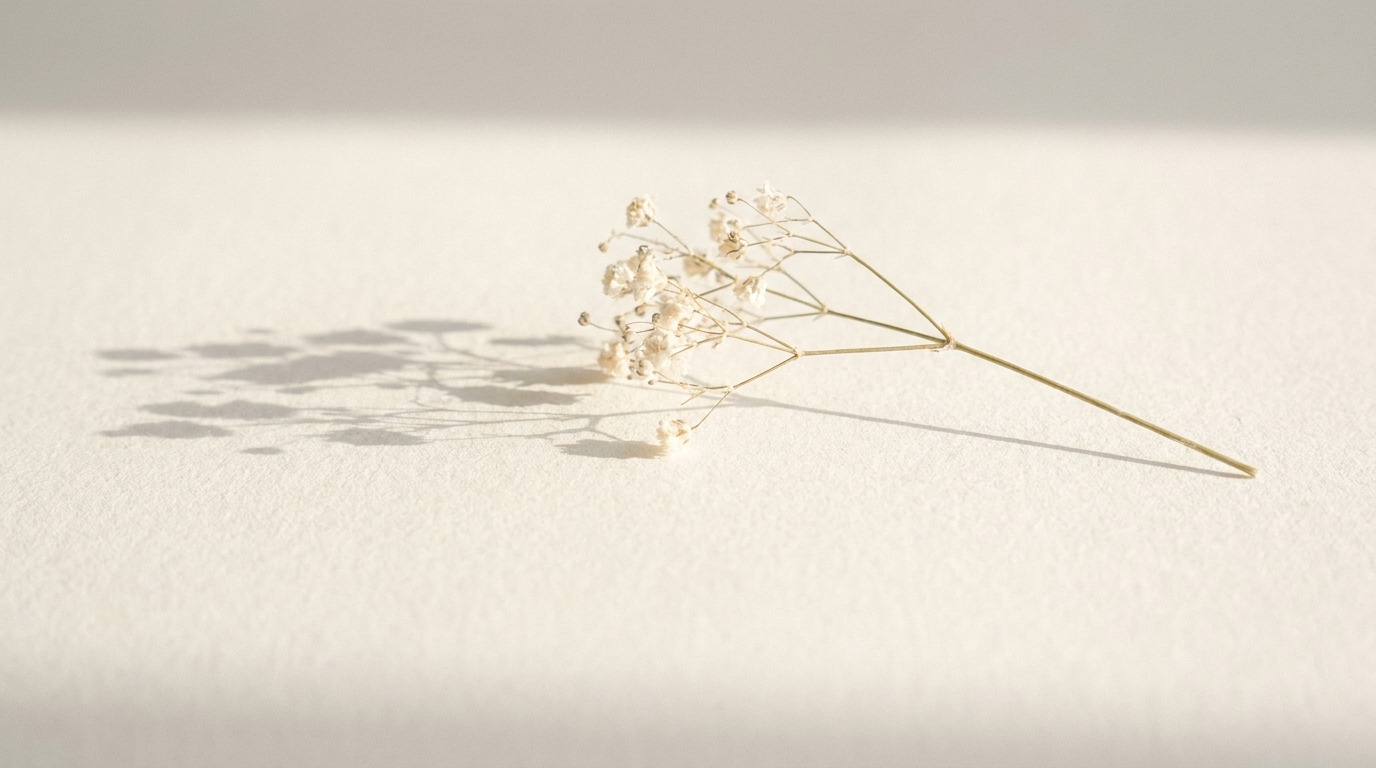 Minimalist still life